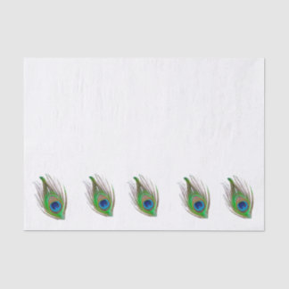 Papel De Seda Peacock feather bordered tissue paper