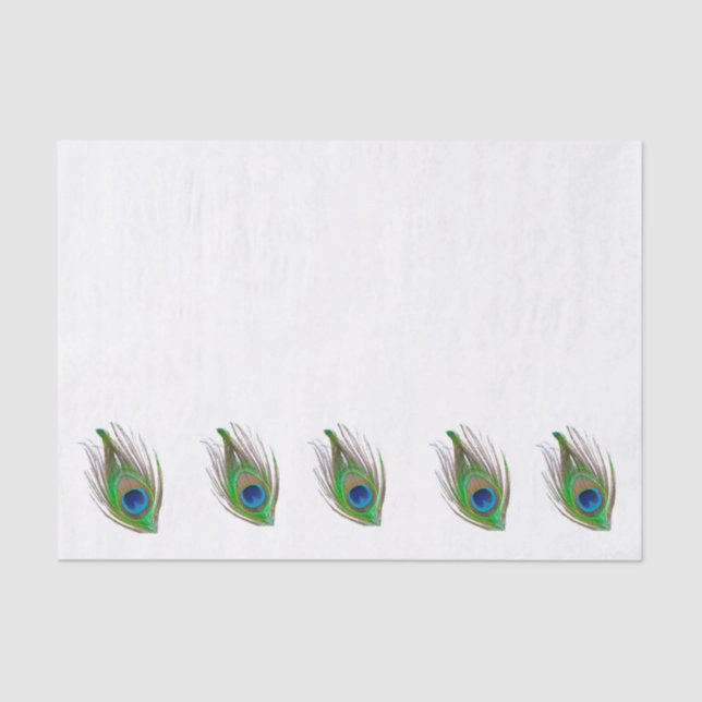 Papel De Seda Peacock feather bordered tissue paper (Frente )