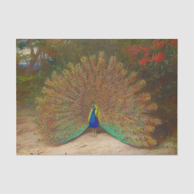 Papel De Seda Peacocks Botânicos Vintage Peafowl (Frente )