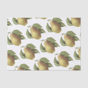 Papel De Seda Pear Pattern
