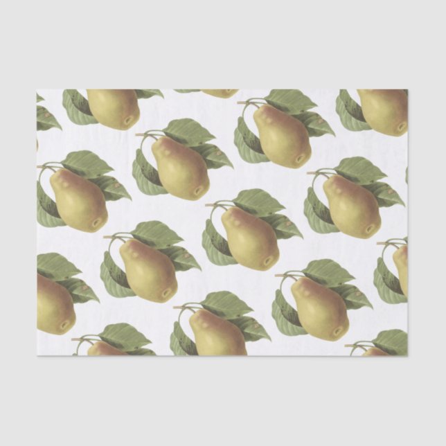 Papel De Seda Pear Pattern (Frente )