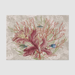 Papel De Seda Peixes de algas marinhas de Coral Vermelho Aquáti