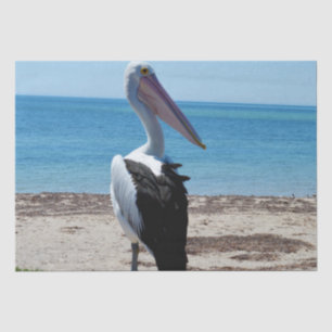 Papel De Seda Pelican Perch Em Um Rock Praia,