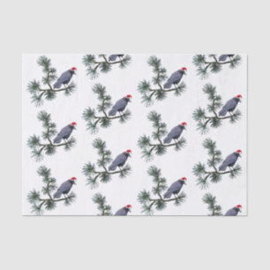 Papel De Seda Pena Santa de Tecido de Pinheiro