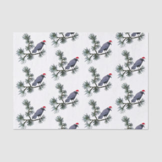 Papel De Seda Pena Santa de Tecido de Pinheiro