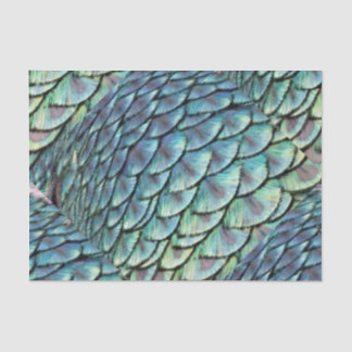 Papel De Seda Penas de cauda do pavão