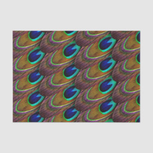 Papel De Seda Penas de pavão azul e púrpura