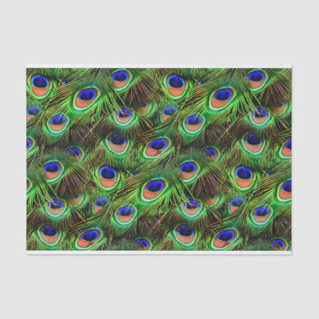 Papel De Seda Penas de Peacock 7A-B Opções (Frente )