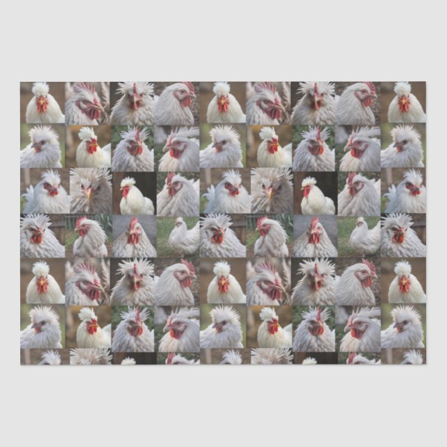 Papel De Seda "Penas em foco: Retrato de frango branco" (Frente )