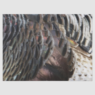 Papel De Seda Penas Selvagens Turcas I Abstrato Nature Design