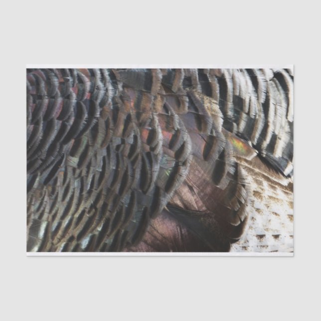 Papel De Seda Penas Selvagens Turcas I Abstrato Nature Design (Frente )