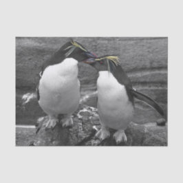 Papel De Seda Penguin Colour Splash