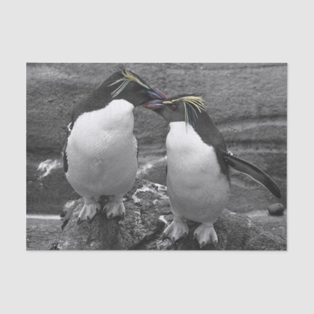 Papel De Seda Penguin Colour Splash (Frente )