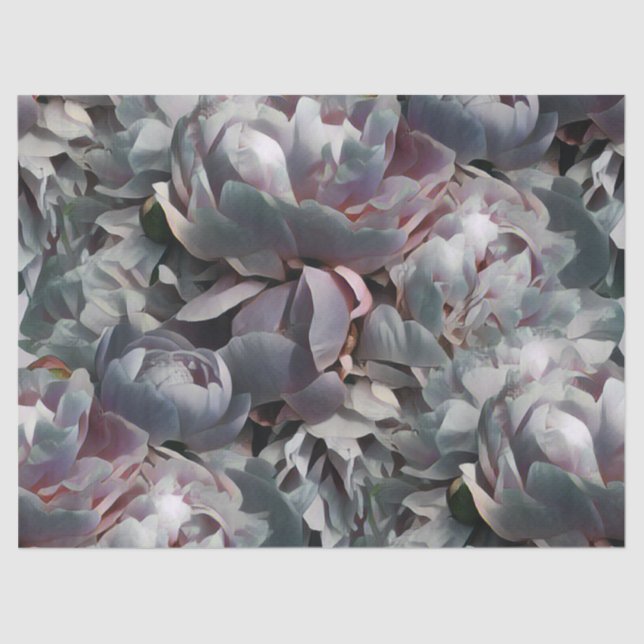 Papel De Seda Peony-Studio (Frente )