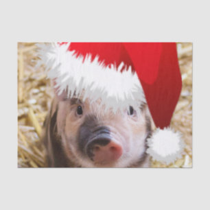 Papel De Seda Pequeno Piglet de Natal Bonito