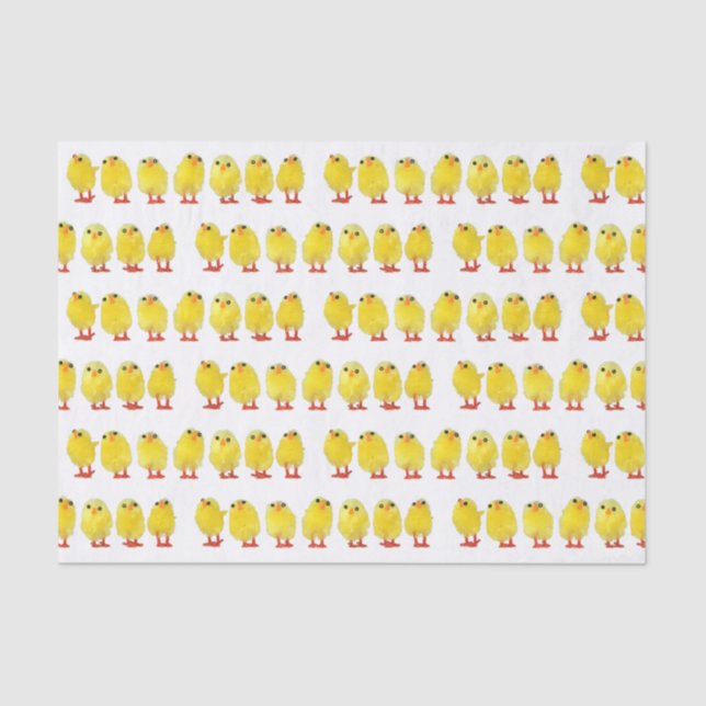 Papel De Seda Pequenos Pintinhos (Frente )