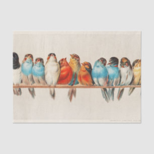 Papel De Seda Perch of Birds, Bird Art, Bird Trabalho de arte, D