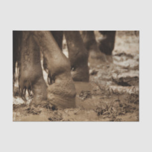 Papel De Seda Pés de Cavalo Western Vintage Sépia Marrom Rústico