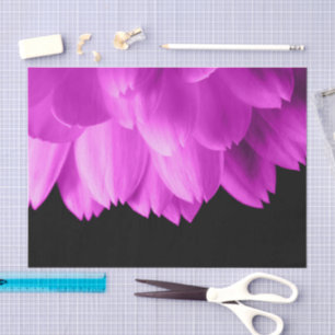 Papel De Seda Pétalas de flores rosa-quente em preto