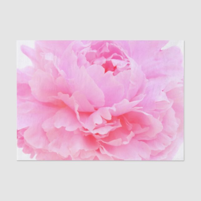 Papel De Seda pétalas rosas (Frente )