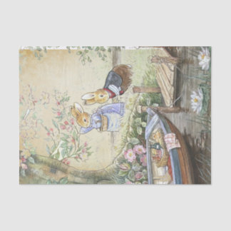 Papel De Seda Peter Rabbit 11