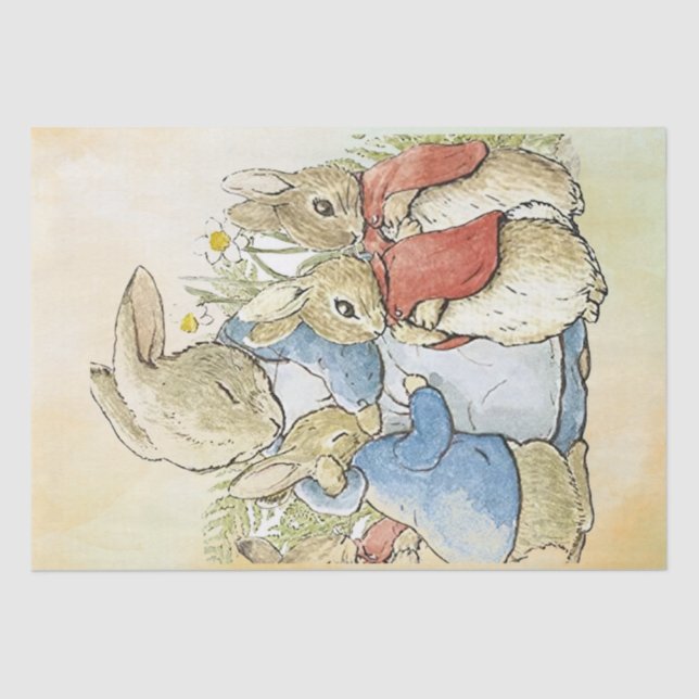 Papel De Seda Peter Rabbit 8 - Tecido (Frente )
