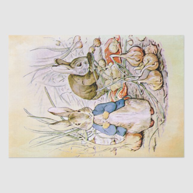 Papel De Seda Peter Rabbit (cebola) (Frente )