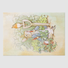 Papel De Seda Peter Rabbit (cenoura)