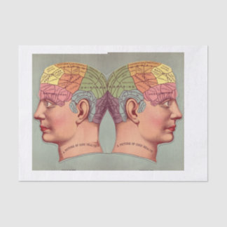 Papel De Seda Picture of Perfect Health Vintage Anatomy