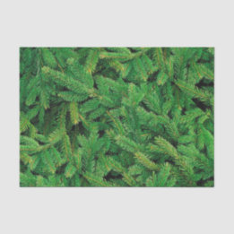 Papel De Seda Pine Blanket Paper