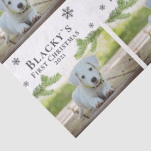 Papel De Seda Pinheiro de Natal Cachorro Cachorro Foto Pet