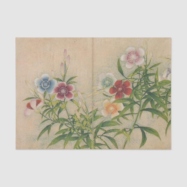 Papel De Seda Pinks de Zhang Ruoai (Frente )