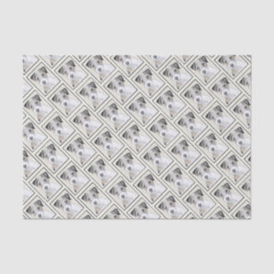 Papel De Seda Pintura áspera de Russell Terrier - arte original