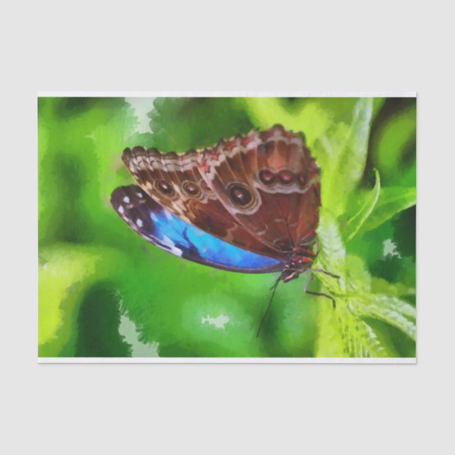 Papel De Seda Pintura da borboleta (Frente )