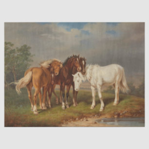 Papel De Seda Pintura de Cavalo