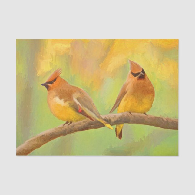 Papel De Seda Pintura De Cedar Waxwing - Arte De Cachorro Origin (Frente )