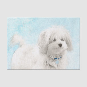Papel De Seda Pintura de Coton de Tulear - Arte de Cão Original