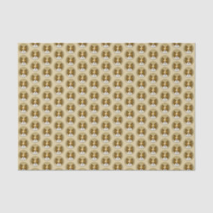 Papel De Seda Pintura de Papillon (Hound Tri) - Arte de Cão Ori