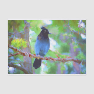 Papel De Seda Pintura em Jay de Steller - Arte original de páss