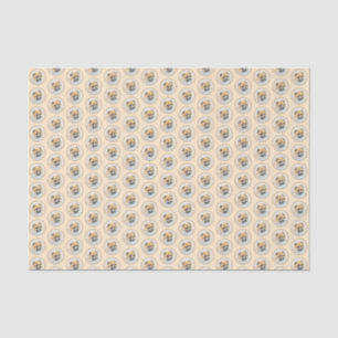 Papel De Seda Pintura Pomeraniana (Laranja) - Arte Original de C