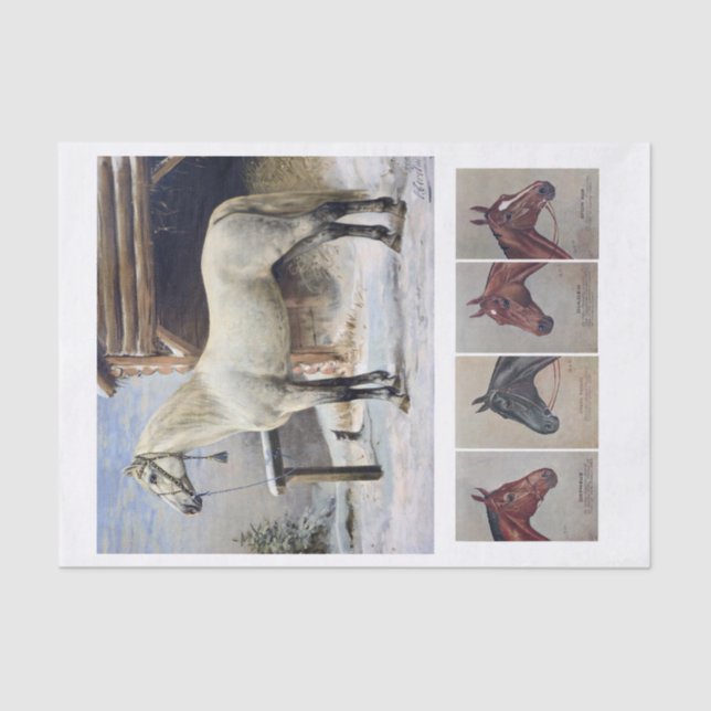 Papel De Seda Pinturas de Cavalo Genuíno (não AI) (Frente )