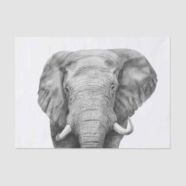 Papel De Seda Plano de backup IV (Frente )