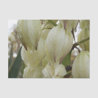 Papel De Seda Planta de Yuca