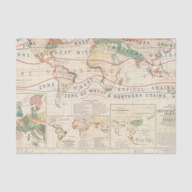 Papel De Seda Plantas da distribuição (Frente )