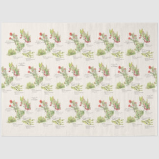 Papel de Seda Plantas Nativas do Vulcão da Ilha de