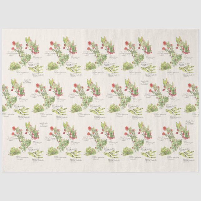 Papel de Seda Plantas Nativas do Vulcão da Ilha de (Frente )