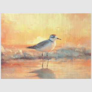 Papel De Seda Plover Permanecendo em ondas durante a dissociação