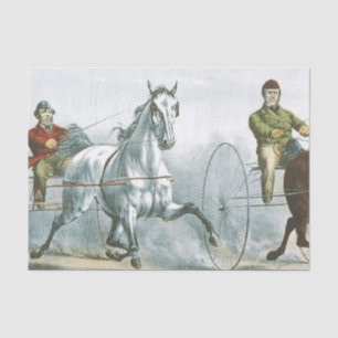 Papel De Seda Poesia dos Cavalos Superiores