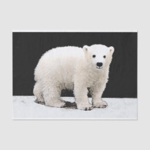 Papel De Seda Polar Bear Cub Painting - Arte Original
