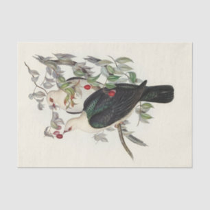 Papel De Seda Pombo-Fruta-cabeça-branca, Decoupage
